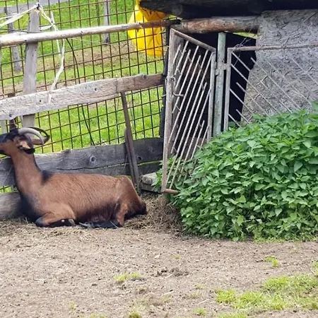 Penzion Pod čertovicou Vyšná Boca