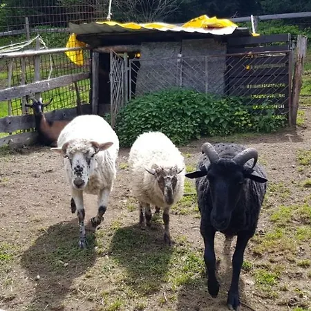 Pod Certovicou 3* Vyšná Boca