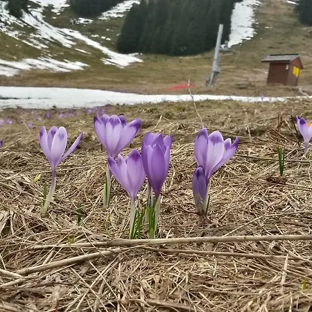 Pod Certovicou 3* Vyšná Boca