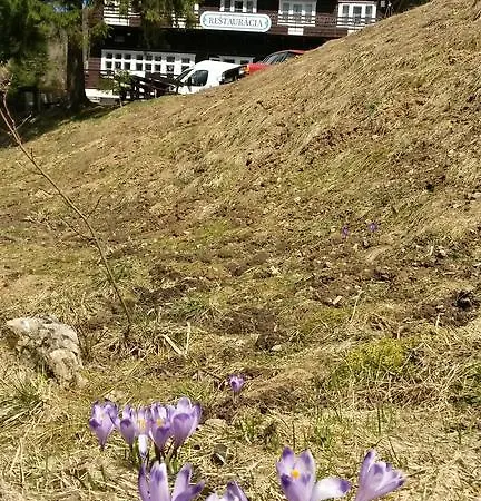 Pod Certovicou Vendégház