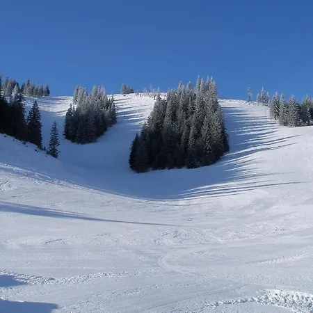 Pod Certovicou Vendégház Vyšná Boca